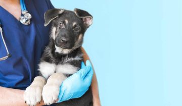 shutterstock_2159923499 (1)